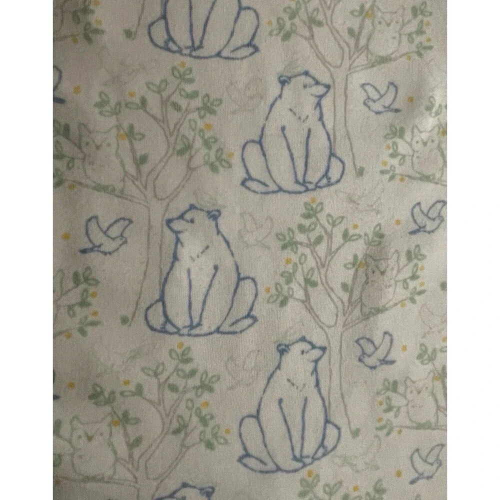 Janie & Jack Blue Bears Green Baby Boy Pajamas Size 0-3 months, Size Newborn